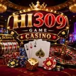 HI309 Game