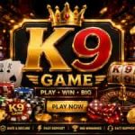 K9 Game